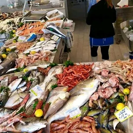 Salento Vacanze 2 Nuova Gestione